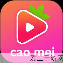 寻道大千，飞升上界与回归凡界的奇幻之旅深度解析