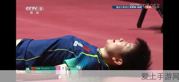 三国志战略版深度攻略，张任兵书加点技巧与实战应用