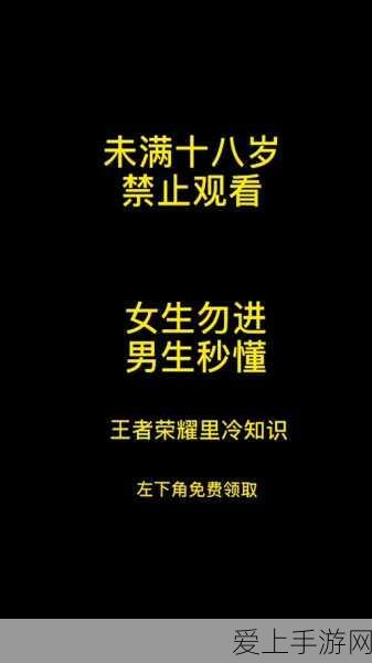 乱斗西游2雷震子独家获取秘籍，解锁英雄新篇章