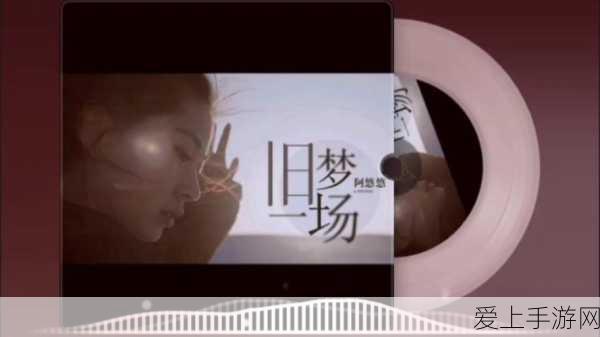 航海王热血航线周年庆狂欢，海量活动全解析