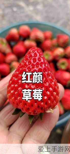 怪物猎人世界冰原，解锁小型怪物骑乘秘籍，探险更添趣味！