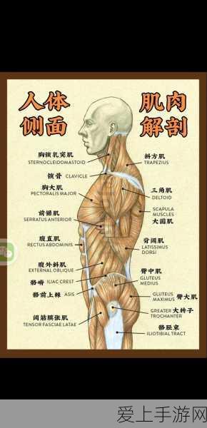和平精英退款流程深度揭秘，轻松操作，快速到账！