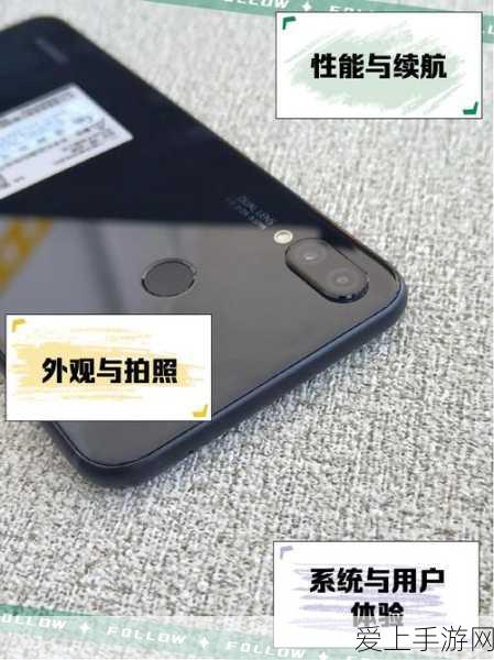 宝可梦大探险，揭秘伊布完美食谱与进化全攻略，助你称霸探险岛！