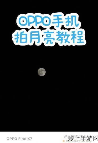 特斯拉高管陶琳严正声明，智能驾驶不得成为非法测绘幌子，合规经营是王道！
