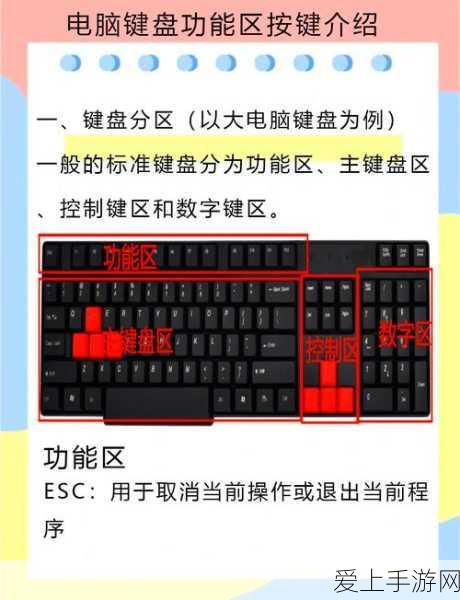 战双帕弥什开服角色培养全攻略，深度解析与实战技巧