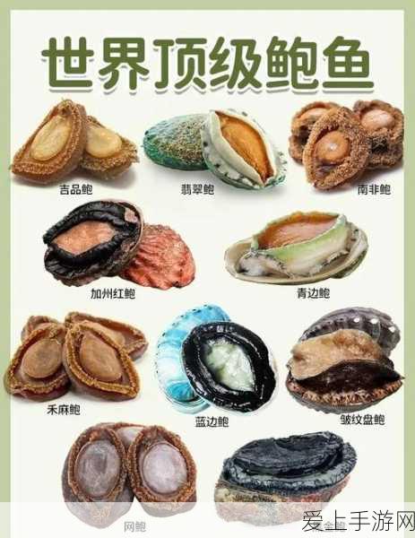 暮色方舟时王秘宝全解析，稀有宝藏获取攻略大放送
