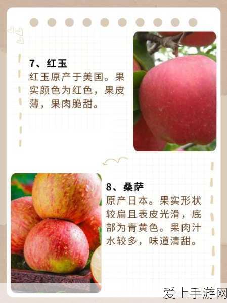 手游界新能源革命，太阳能光伏电源专用滤波器助力绿色游戏未来