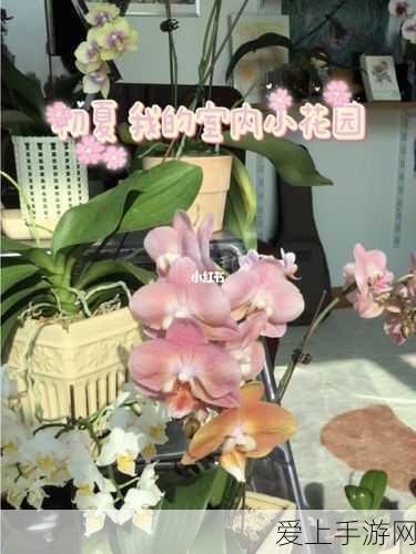 弹壳特攻队，揭秘功能饮料的神奇技能与实战应用
