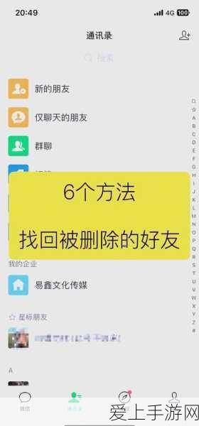 碧蓝航线，前卫舰娘强度全解析，实战策略与搭配指南