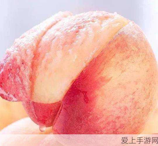 碧之轨迹，泳衣玩法大揭秘，惊艳之旅等你开启