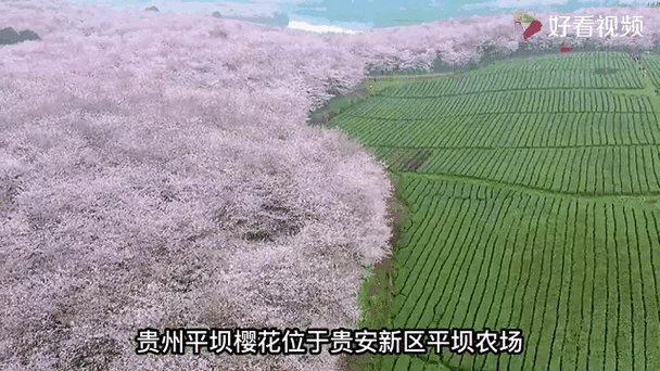 精选攻略，如何挑选最适合你的手游条屏设备？深度解析与实战技巧