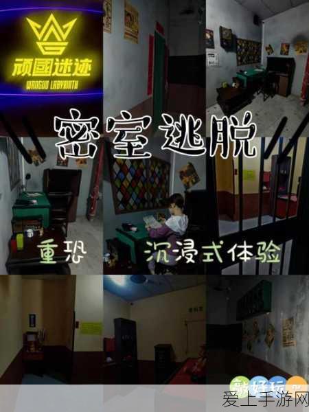 和平精英个性化出场动作设置全攻略，打造独一无二的战斗风采