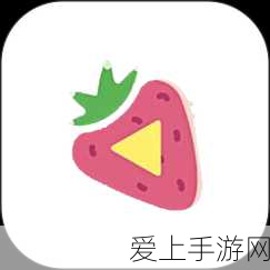 深度解析托拉姆物语中的匠之奥秘