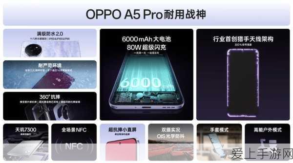 魔兽世界新手速成秘籍，高效升级全攻略