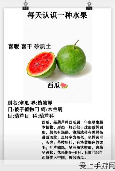 手游跨界新风尚，比亚迪台铃联动，开启虚拟电动两轮车竞速赛新时代