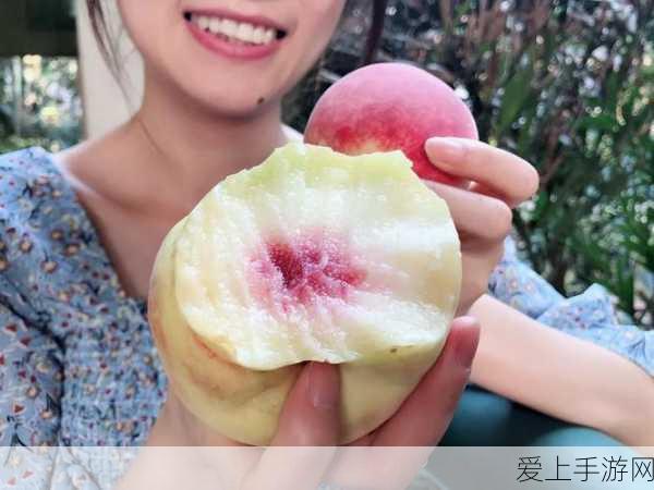 阴阳师言灵碎片解锁全攻略，揭秘碎片获取与激活条件