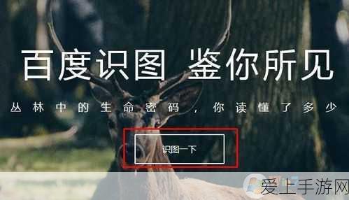 王者荣耀迷雾模式深度攻略，解锁视野操控新境界