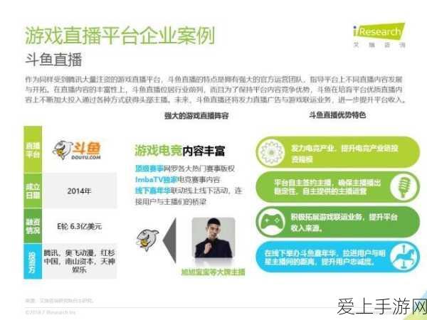 王者荣耀迷雾模式深度攻略，解锁视野操控新境界
