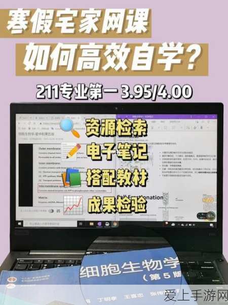 龙之谷手游，暗之使徒技能加点全攻略
