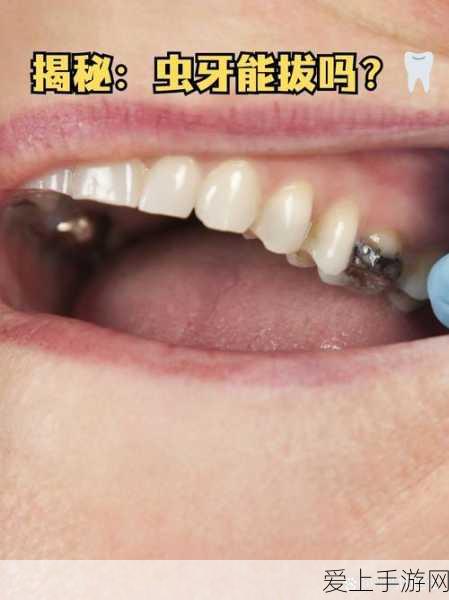 探秘创造与魔法，岩虎合成秘籍大公开