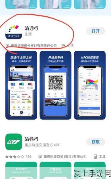 Switch 版百战天虫中文支持全解析及设置秘籍