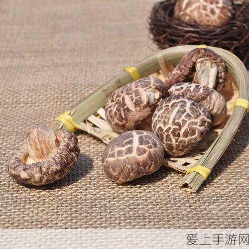 王者荣耀账号迁移指南，轻松实现微信账号间切换