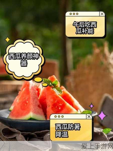 口袋妖怪ORAS，高效刷取完美个体值攻略大揭秘