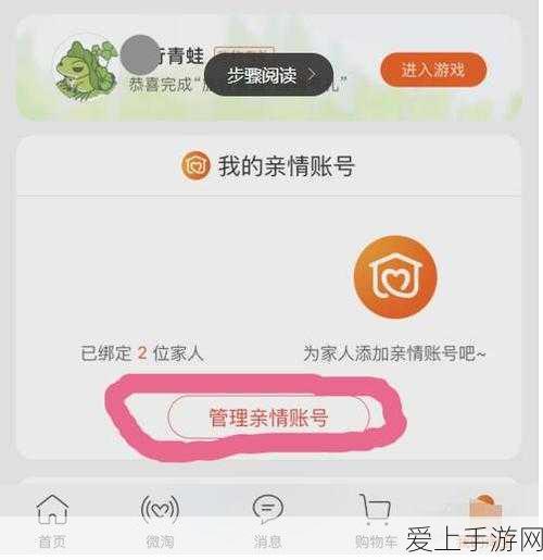 口袋妖怪ORAS，高效刷取完美个体值攻略大揭秘