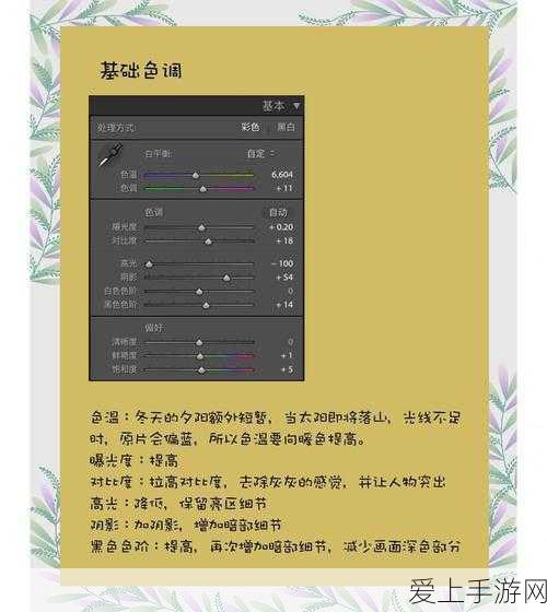 蛋仔派对珍稀皮肤揭秘，仙人掌丘丘获取全攻略