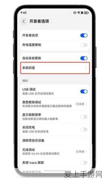 手游山海镜花BUG全揭秘，玩家必知的那些小插曲