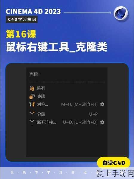 深度攻略，原神菲谢尔圣遗物搭配全解析，助你战场无敌！