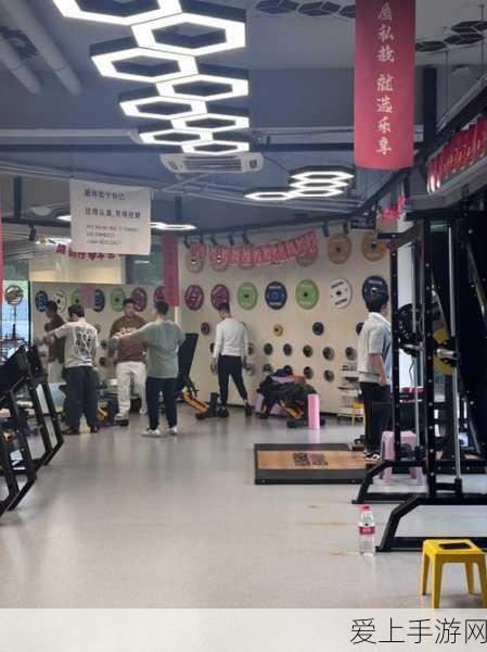 深度攻略，原神菲谢尔圣遗物搭配全解析，助你战场无敌！