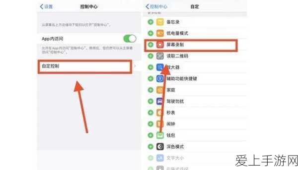 归龙潮奇幻揭秘，孤影望天岸，任务攻略与探险全解析