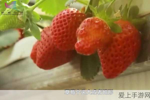 幻兽帕鲁，高效原油开采点位全揭秘，助你称霸能源战场！