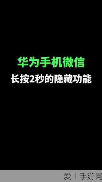 归龙潮浦市区瞳术宝箱全揭秘