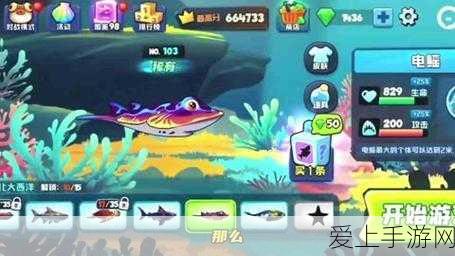 魔兽世界高效宏制作秘籍，解锁游戏效率的终极技巧
