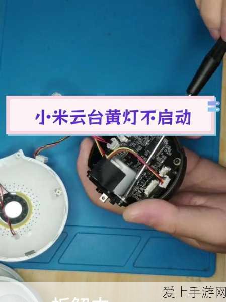 铃兰之剑深度攻略，哈斯娜角色抽取秘籍与和平表象下的暗流涌动
