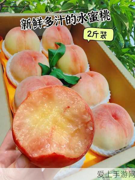 原神魅力男角大赏，谁将是你冒险之旅的最佳拍档？