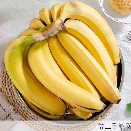 流放之路高手秘籍，决斗者加点策略全解析