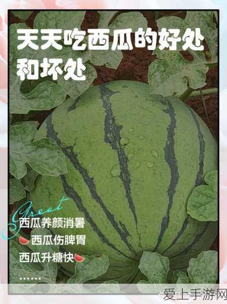 黑神话悟空，珍稀玩法收集秘籍大公开