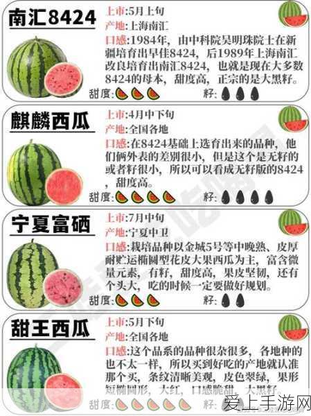 剑与远征充值安全警报，揭秘第三方代充的真相与风险