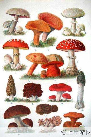 手游硬件揭秘，软启动器技术大比拼——电压斜坡启动VS电流模式，哪个更适合你的游戏设备？