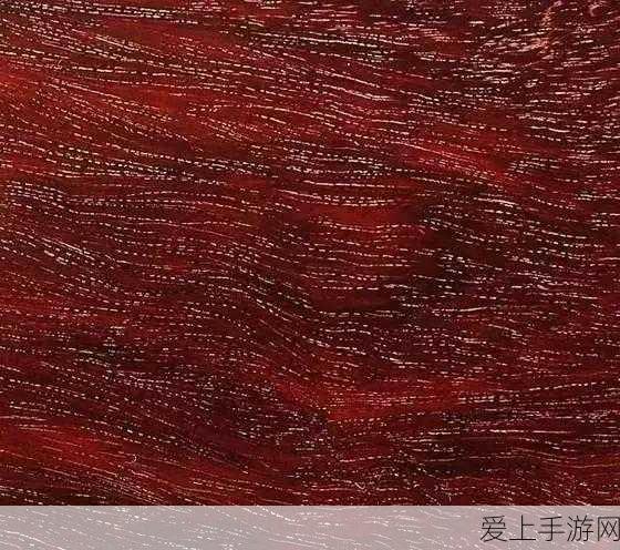 归龙潮暗潮征讨，深度攻略与全新挑战解析