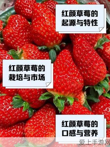 上古卷轴5前期高效训练指南，最大化你的技能成长