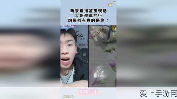 倩女幽魂画魂69级全攻略，解锁顶尖技能，称霸战场