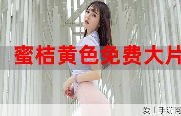 炉石传说，巫妖王的进军更新全解析，新版本赛事亮点抢先看！