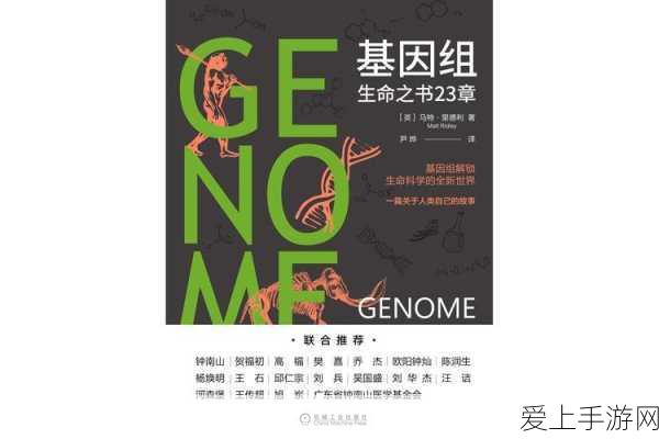 炉石传说新版本深度揭秘，狗头人与地下世界卡牌全攻略