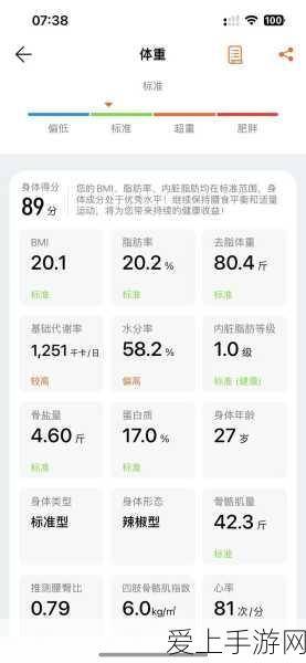 废土行动大揭秘，为何你的大背包总是带不上？全面攻略解析
