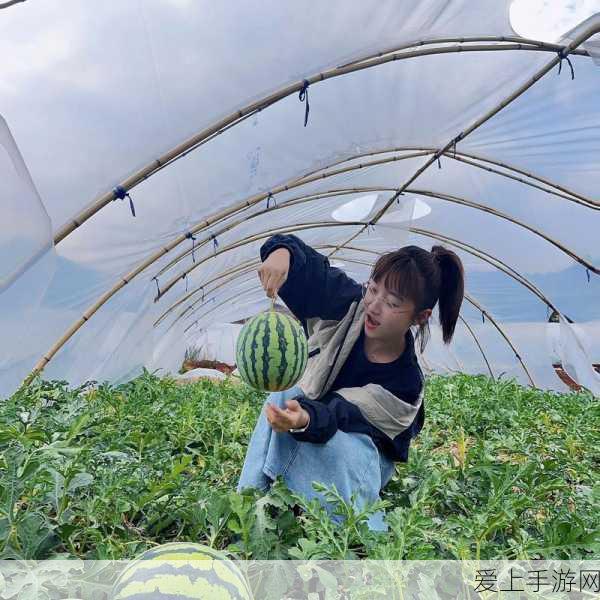 奇异摩尔ICCAD 2024手游设计大赛圆满落幕，创新佳作闪耀舞台