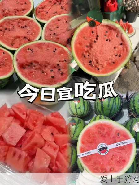 手游新探秘，光遇青色光芒挑战赛，解锁奇幻世界的隐藏秘密